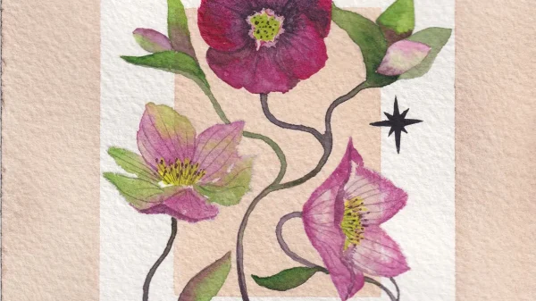 Aquarelle Hellebores I TBD